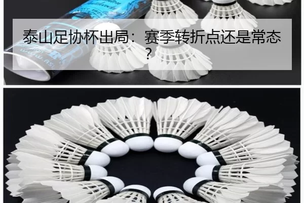 泰山足协杯出局：赛季转折点还是常态？